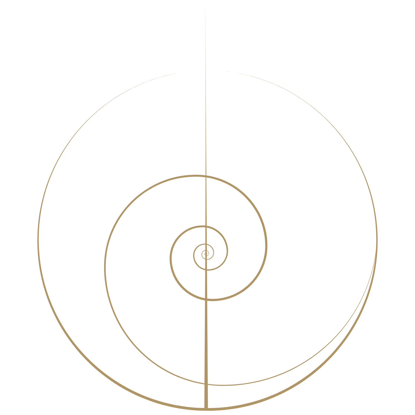 Your Body Knows Somatic Therapy Energetic Bodywork Embodied Business Creation Retreat