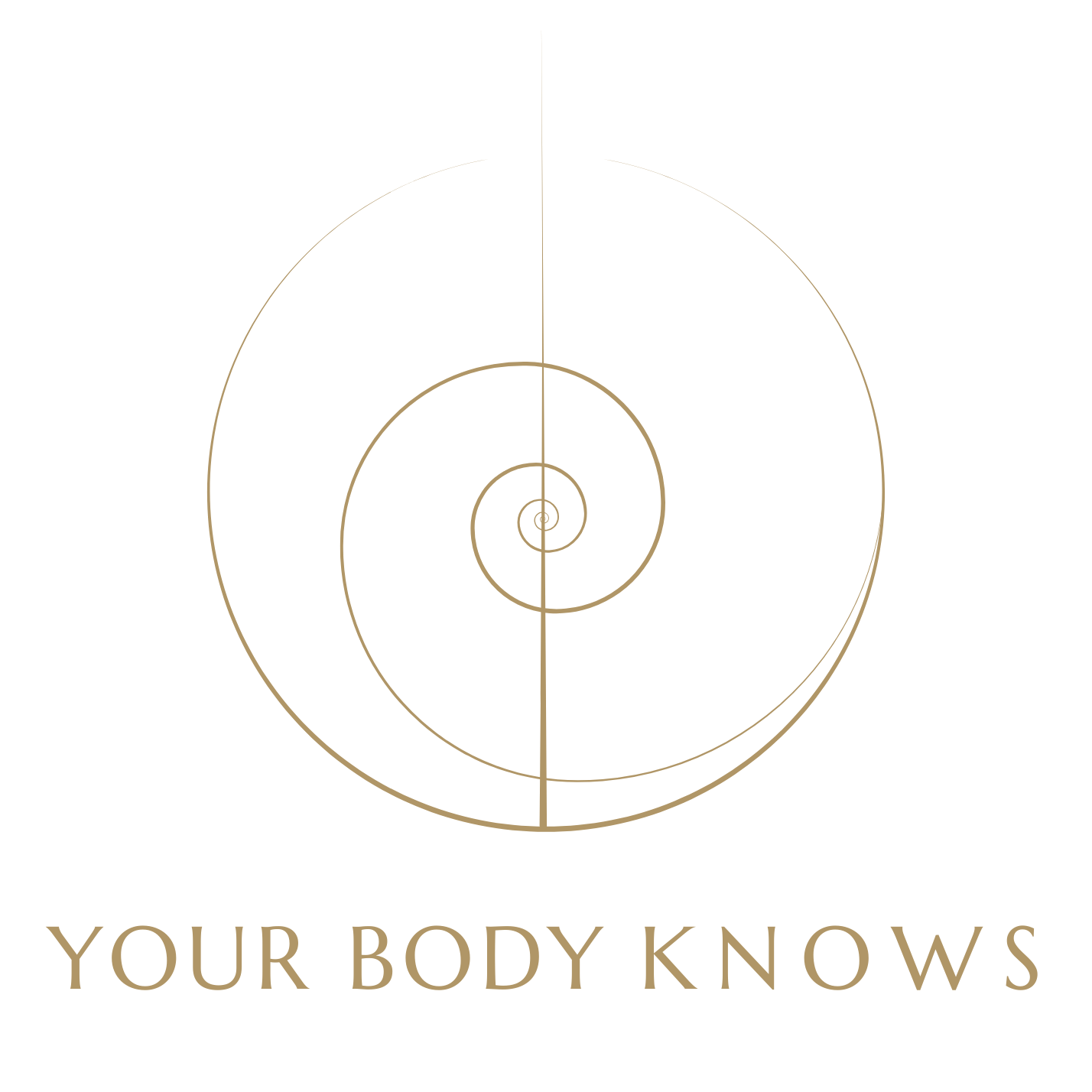 Your Body Knows Energetic bodywork Embodied business retreat